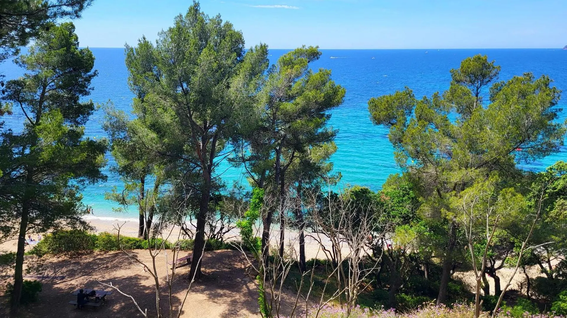 Apartment Studio A 400 M De La Plage Le Pradet